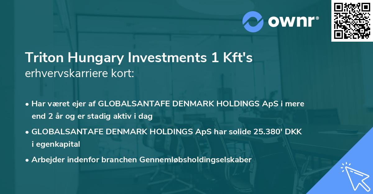 Triton Hungary Investments 1 Kft's erhvervskarriere kort