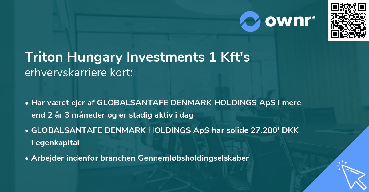 Triton Hungary Investments 1 Kft's erhvervskarriere kort