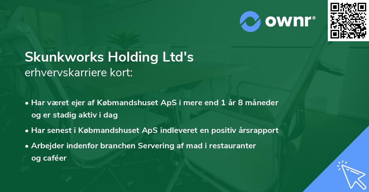 Skunkworks Holding Ltd's erhvervskarriere kort