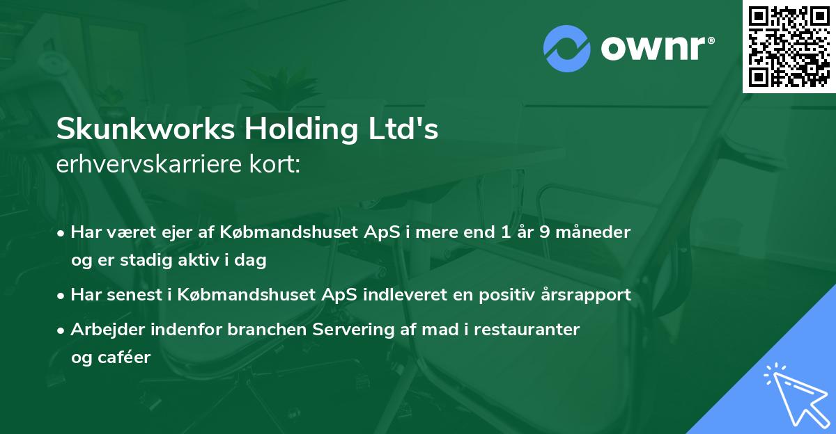 Skunkworks Holding Ltd's erhvervskarriere kort