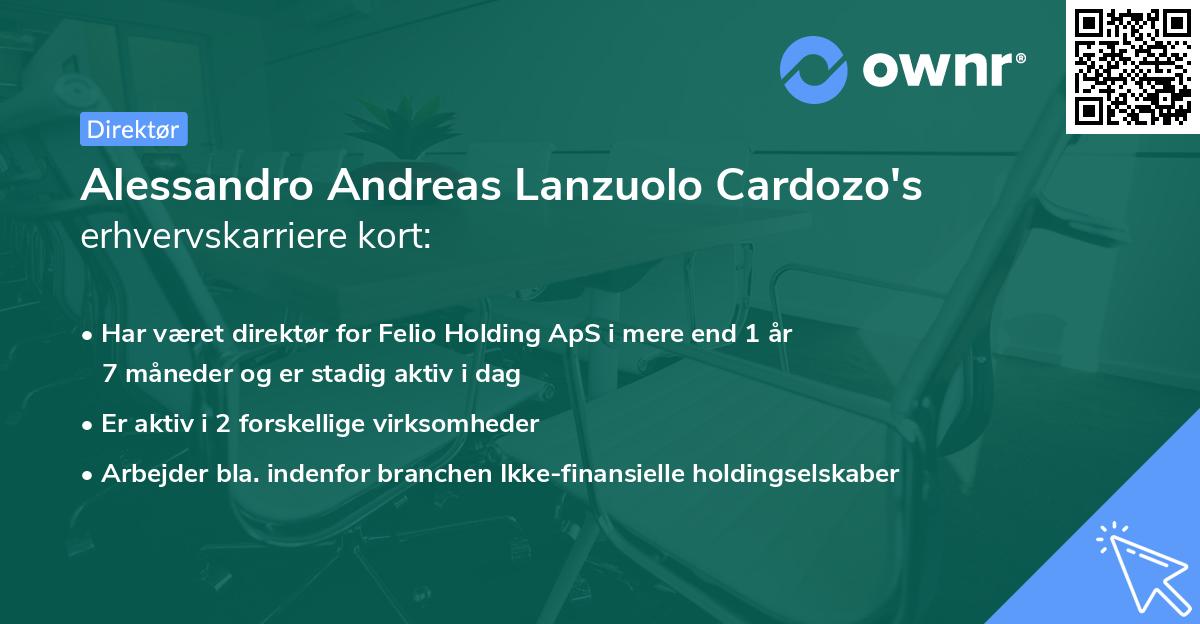 Alessandro Andreas Lanzuolo Cardozo's erhvervskarriere kort