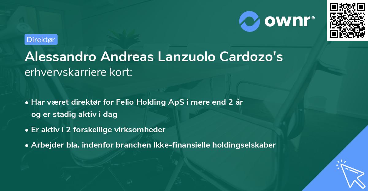 Alessandro Andreas Lanzuolo Cardozo's erhvervskarriere kort