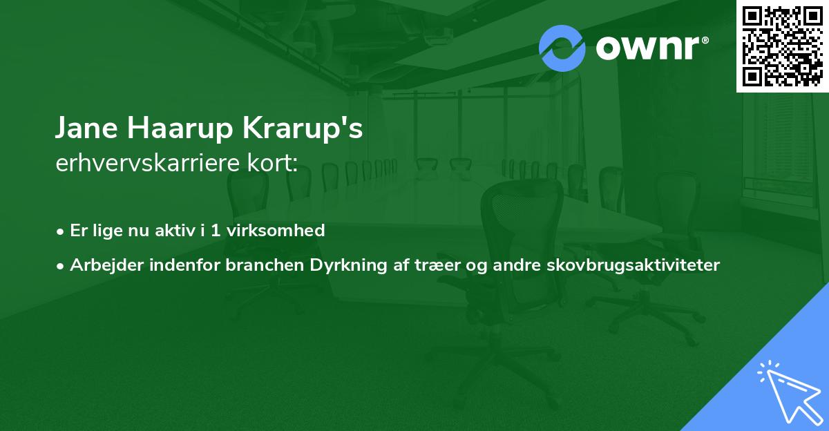 Jane Haarup Krarup's erhvervskarriere kort
