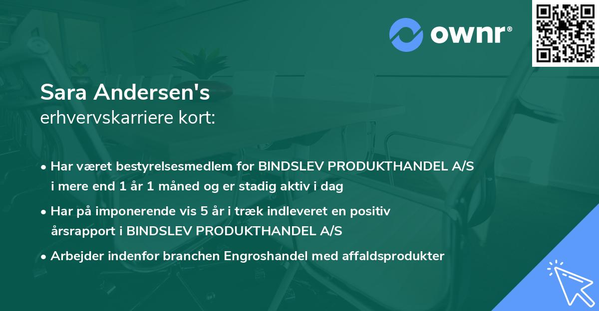 Sara Andersen's erhvervskarriere kort