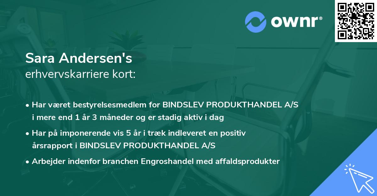 Sara Andersen's erhvervskarriere kort