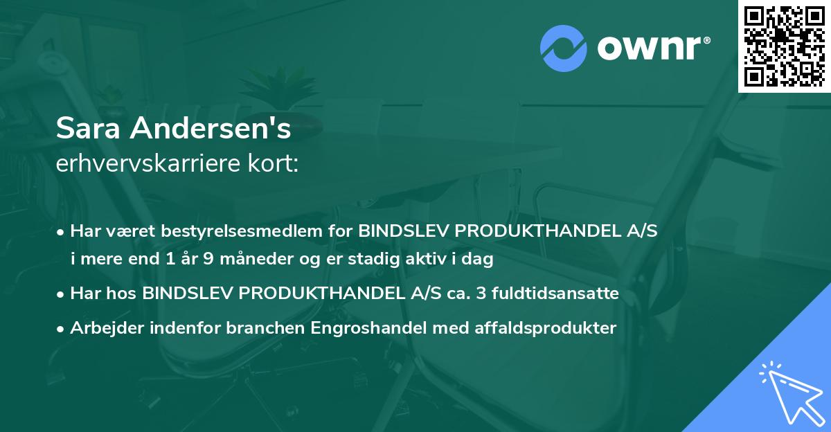 Sara Andersen's erhvervskarriere kort