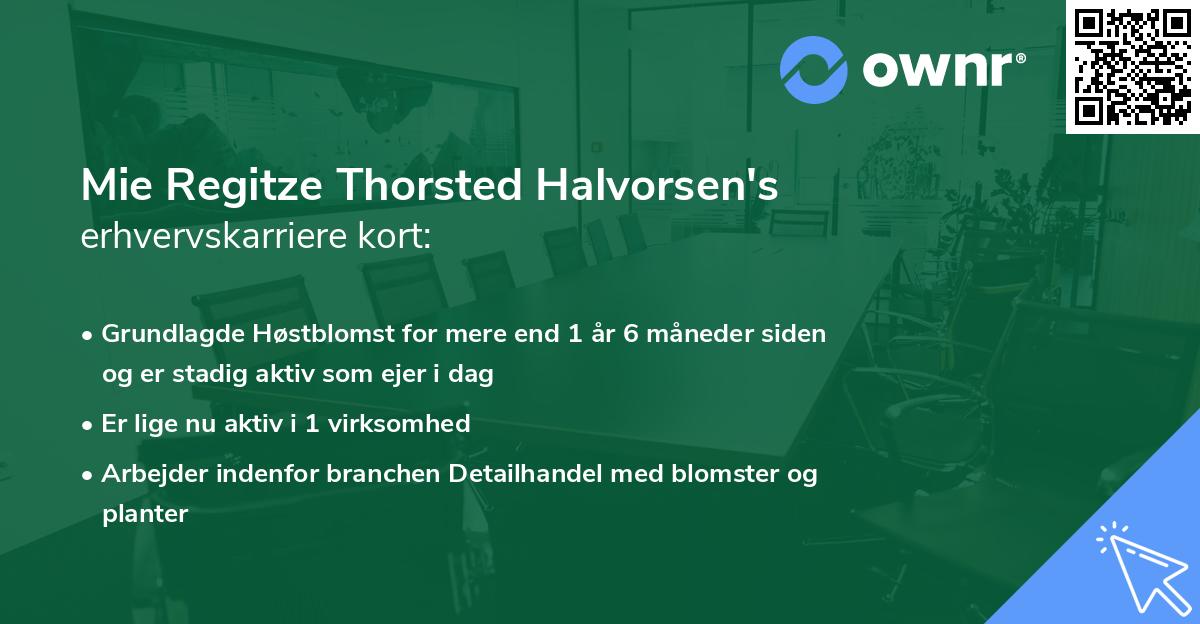 Mie Regitze Thorsted Halvorsen's erhvervskarriere kort