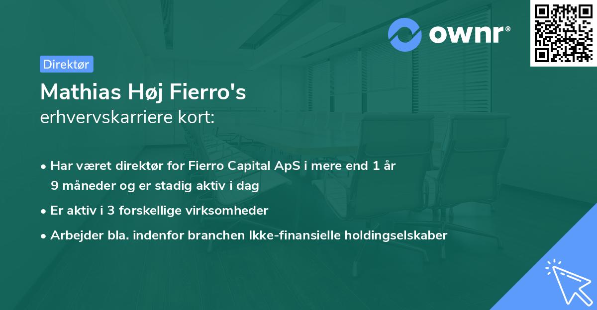 Mathias Høj Fierro's erhvervskarriere kort