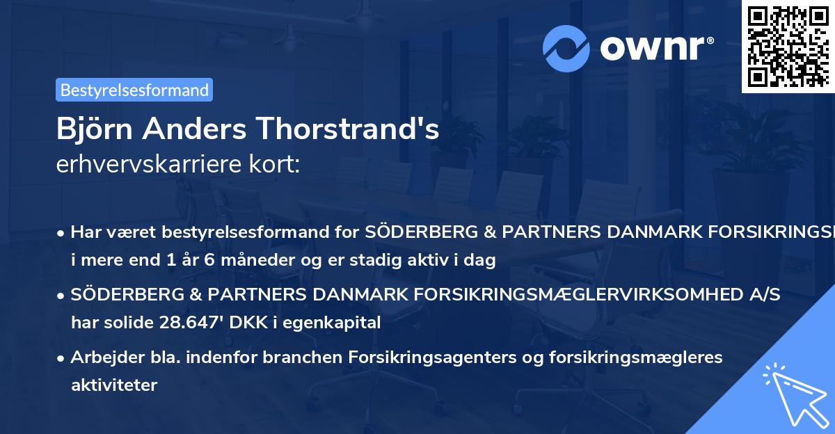 Björn Anders Thorstrand's erhvervskarriere kort