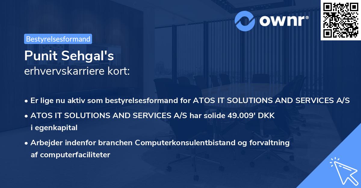 Punit Sehgal's erhvervskarriere kort