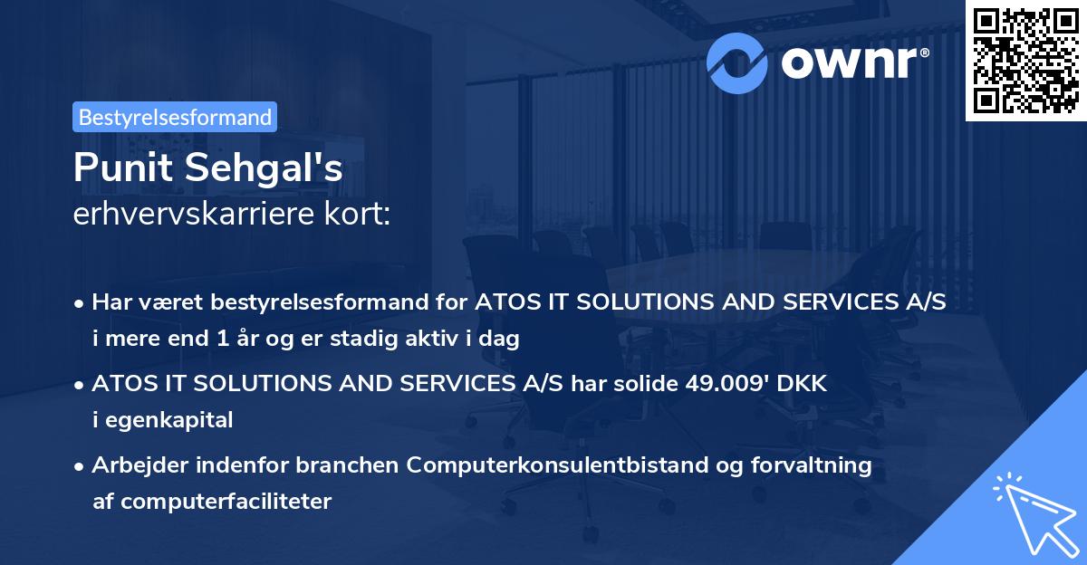 Punit Sehgal's erhvervskarriere kort
