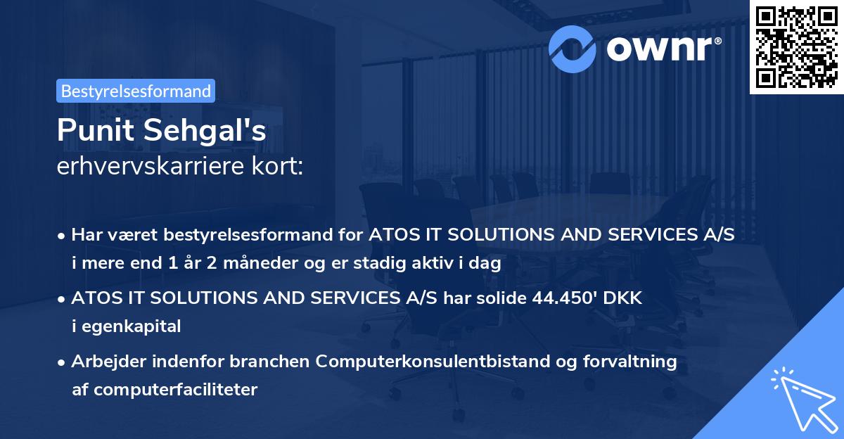 Punit Sehgal's erhvervskarriere kort