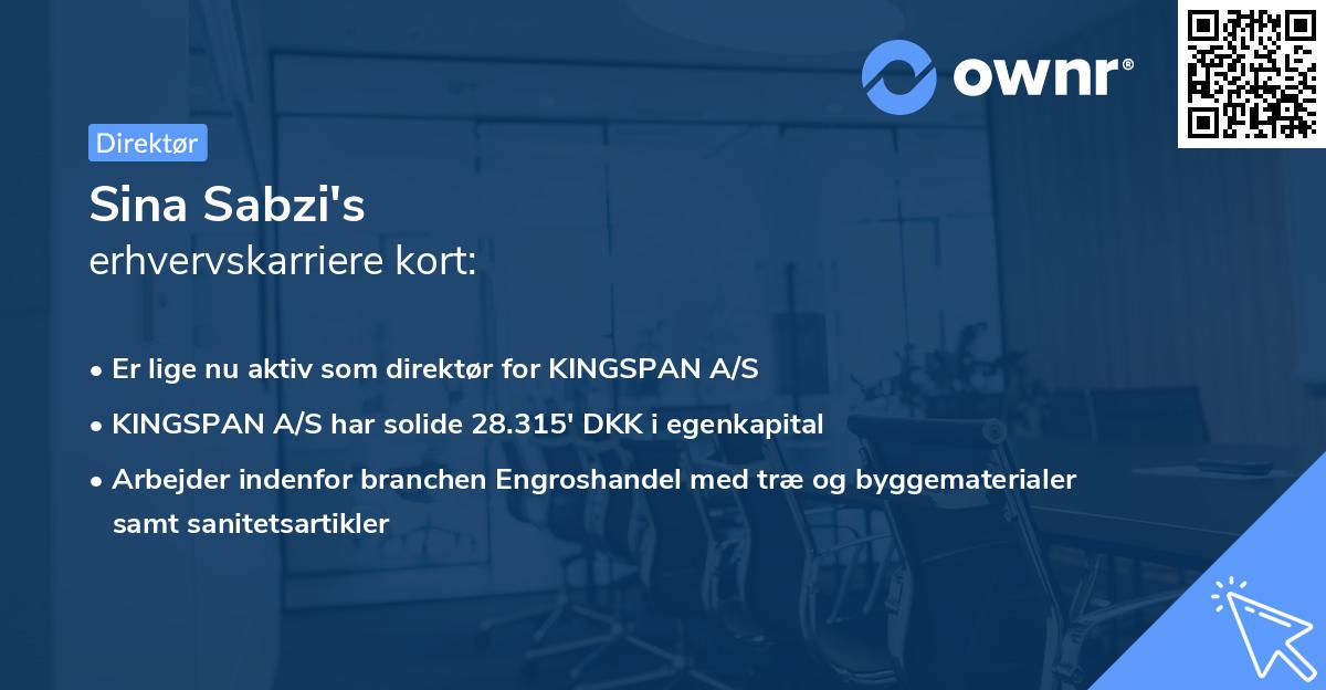 Sina Sabzi's erhvervskarriere kort