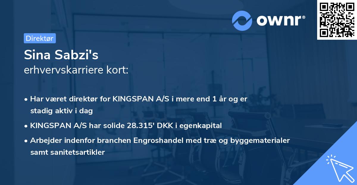 Sina Sabzi's erhvervskarriere kort