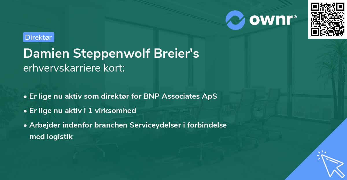 Damien Steppenwolf Breier's erhvervskarriere kort