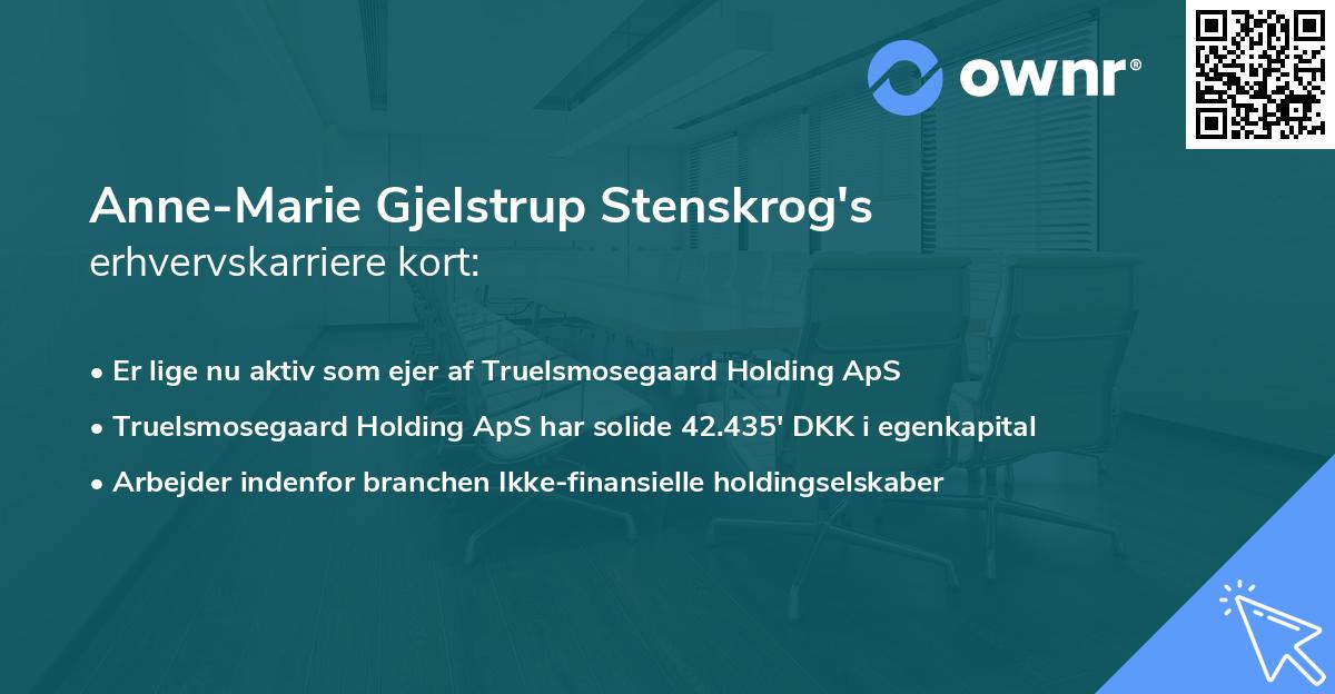 Anne-Marie Gjelstrup Stenskrog's erhvervskarriere kort