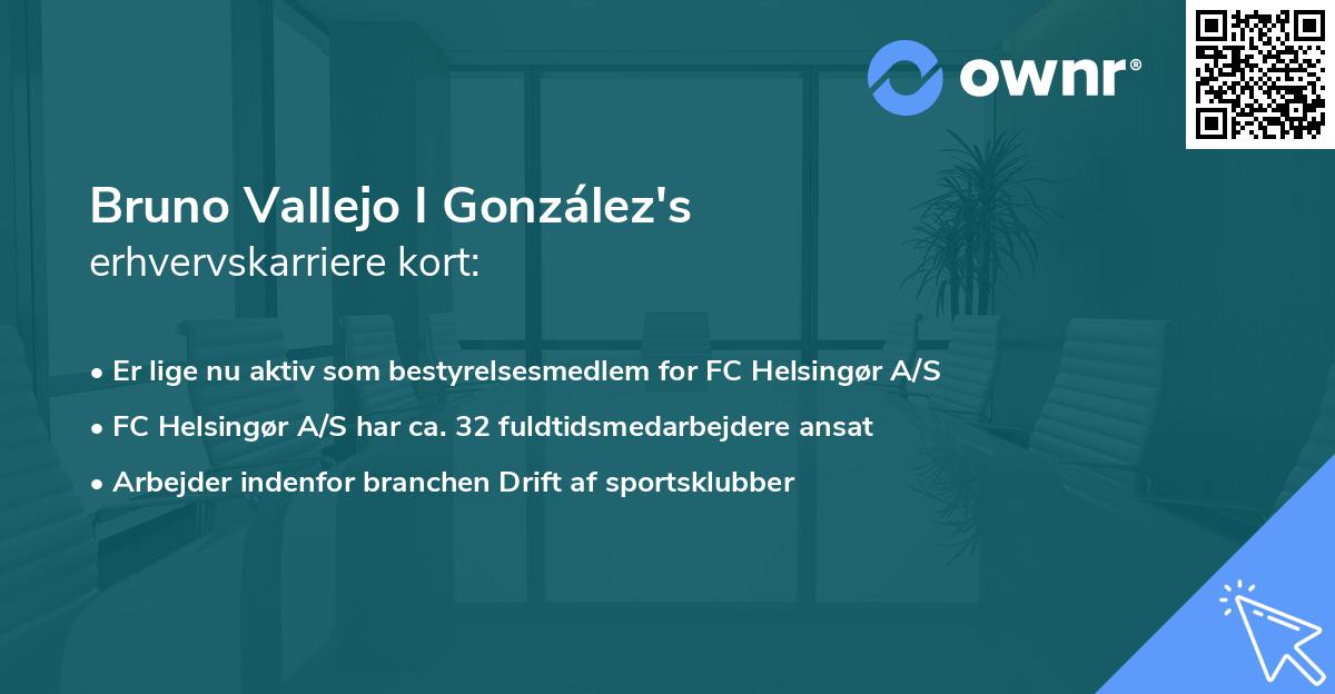 Bruno Vallejo I González's erhvervskarriere kort