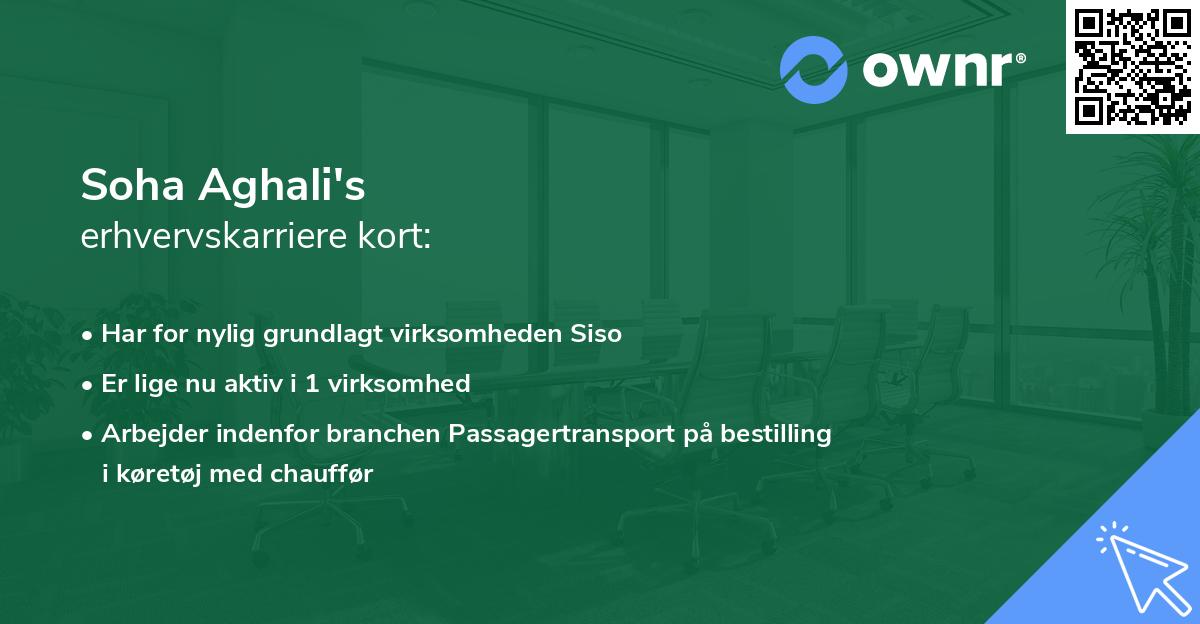 Soha Aghali's erhvervskarriere kort