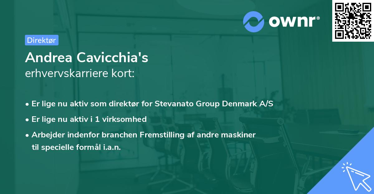 Andrea Cavicchia's erhvervskarriere kort
