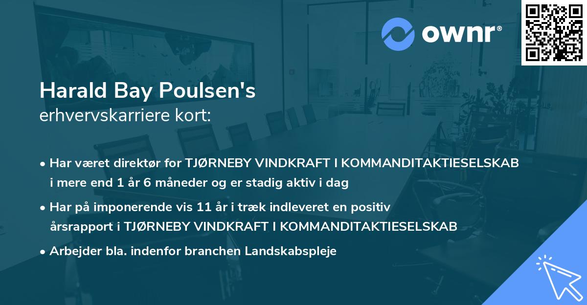 Harald Bay Poulsen's erhvervskarriere kort