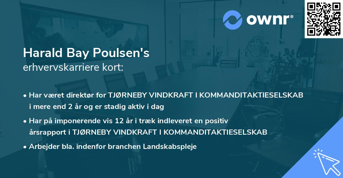 Harald Bay Poulsen's erhvervskarriere kort
