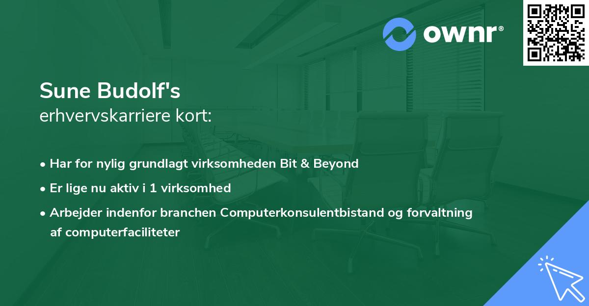 Sune Budolf's erhvervskarriere kort