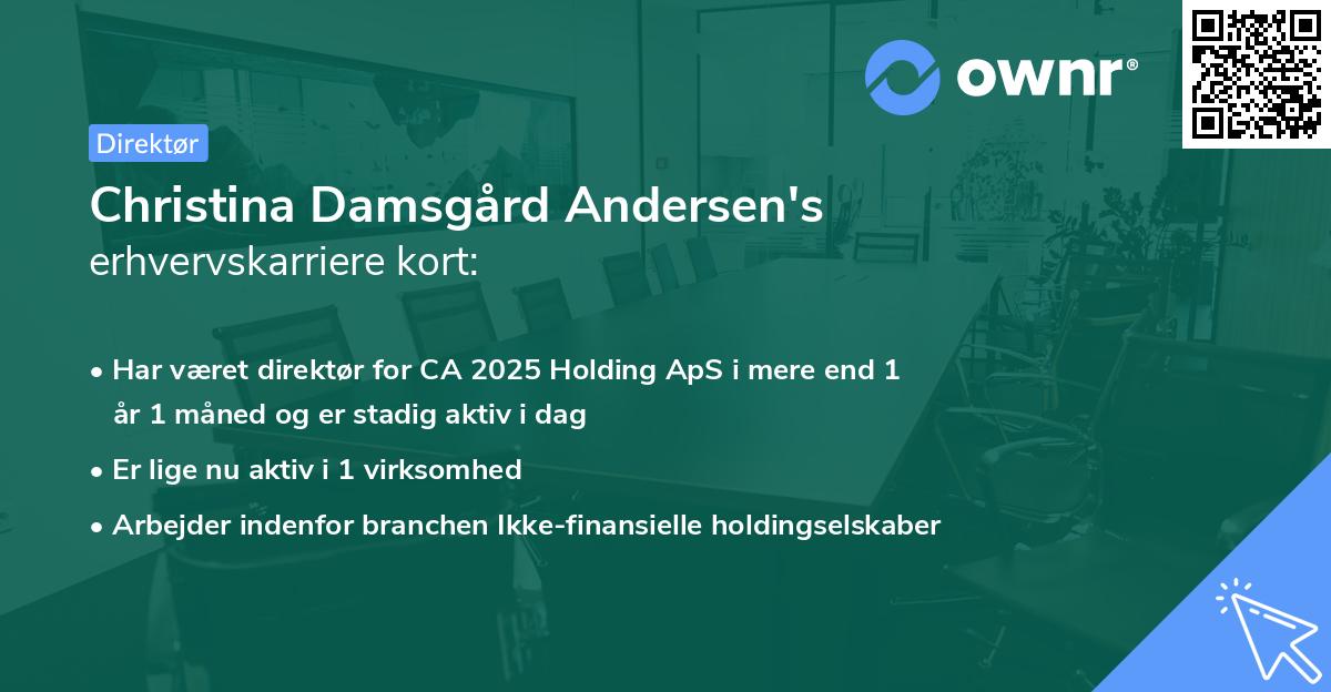 Christina Damsgård Andersen's erhvervskarriere kort
