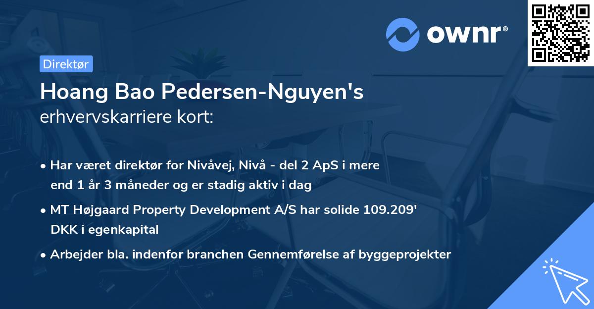 Hoang Bao Pedersen-Nguyen's erhvervskarriere kort
