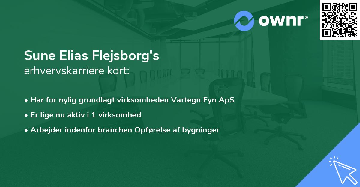Sune Elias Flejsborg's erhvervskarriere kort