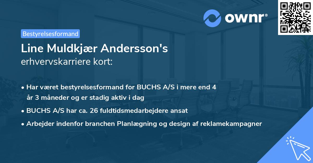Line Muldkjær Andersson's erhvervskarriere kort