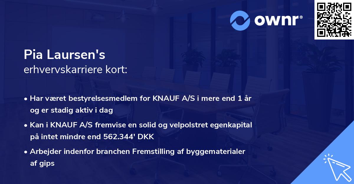 Pia Laursen's erhvervskarriere kort