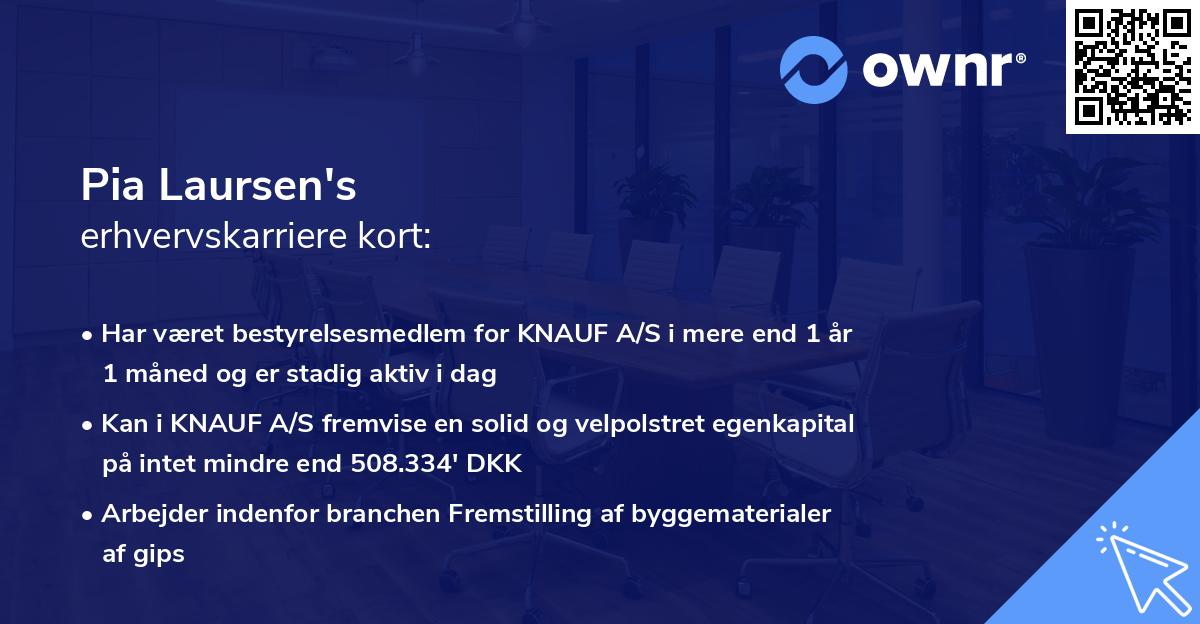 Pia Laursen's erhvervskarriere kort
