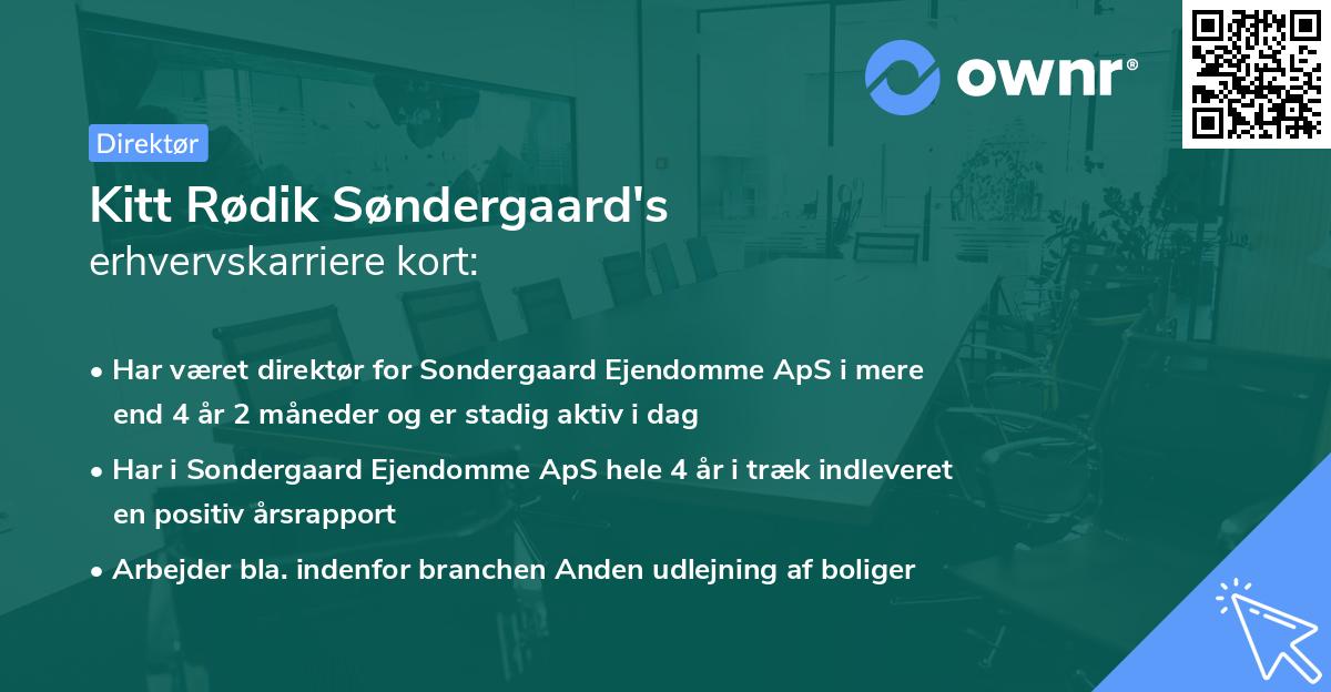 Kitt Rødik Søndergaard's erhvervskarriere kort