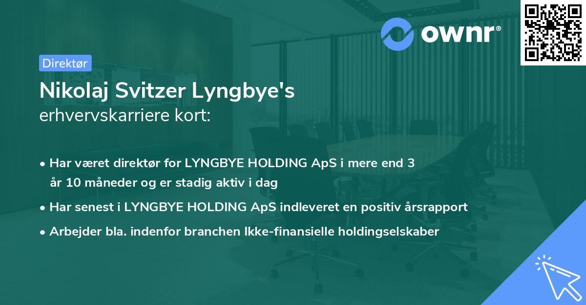 Nikolaj Svitzer Lyngbye's erhvervskarriere kort
