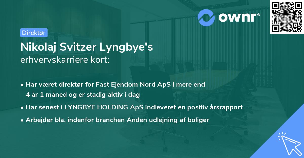 Nikolaj Svitzer Lyngbye's erhvervskarriere kort