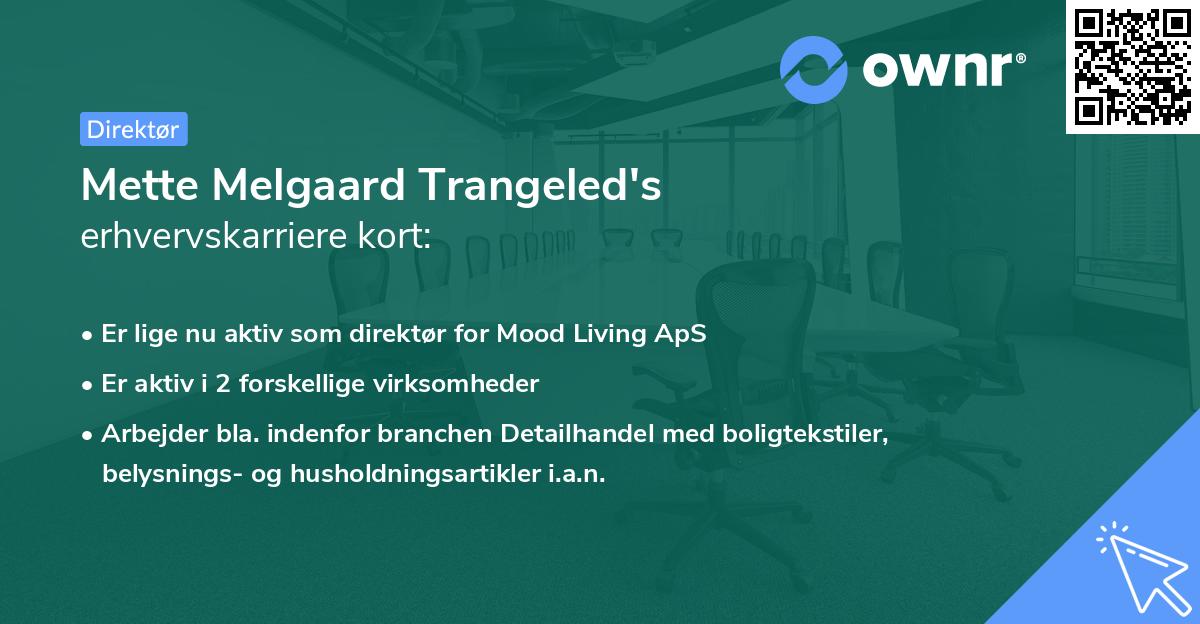 Mette Melgaard Trangeled's erhvervskarriere kort