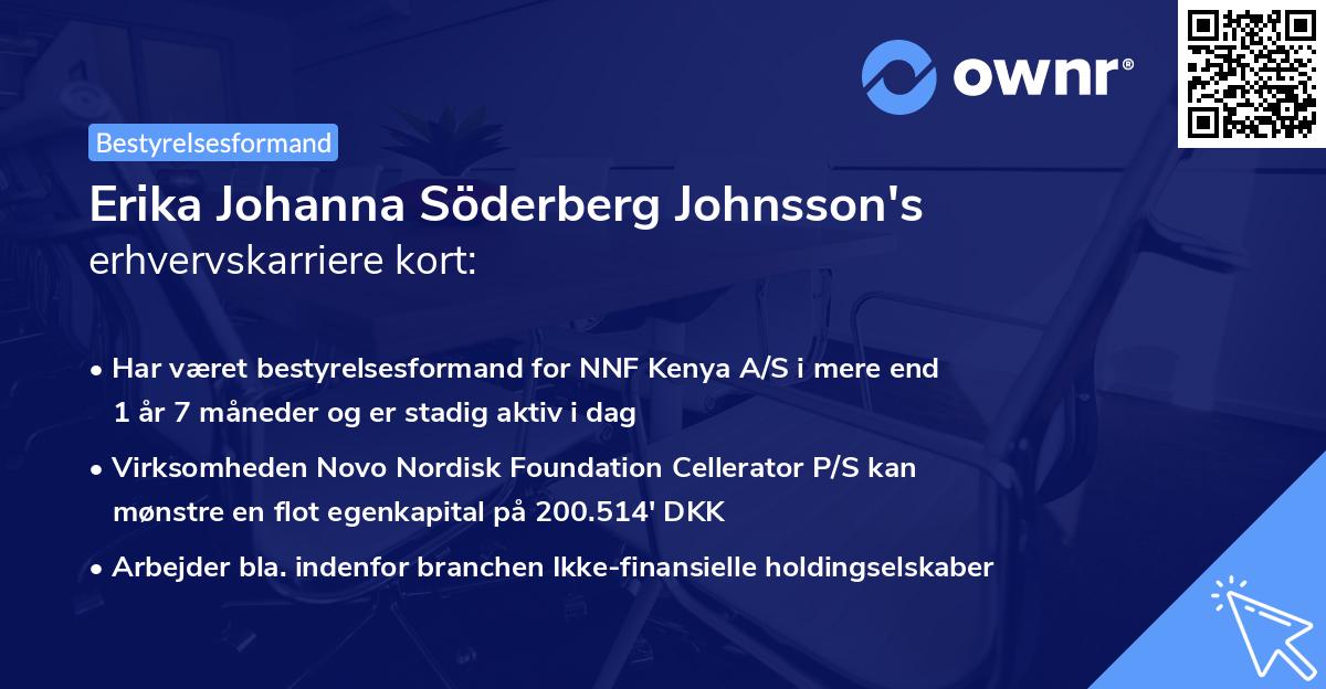 Erika Johanna Söderberg Johnsson's erhvervskarriere kort