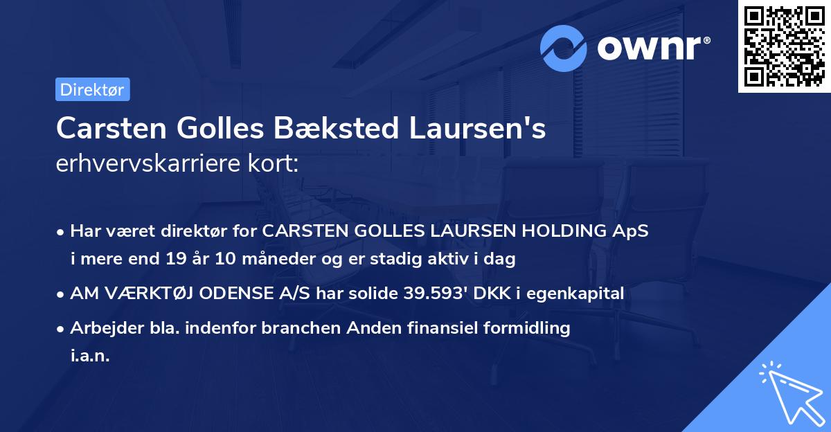 Carsten Golles Bæksted Laursen's erhvervskarriere kort