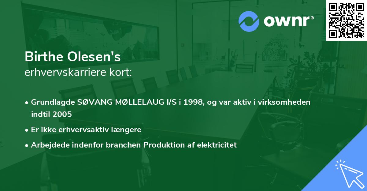 Birthe Olesen's erhvervskarriere kort