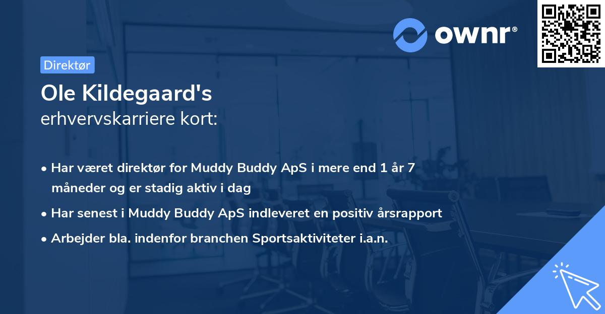 Ole Kildegaard's erhvervskarriere kort