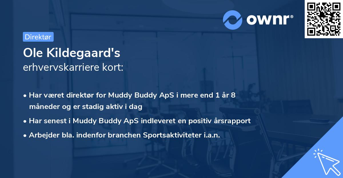 Ole Kildegaard's erhvervskarriere kort