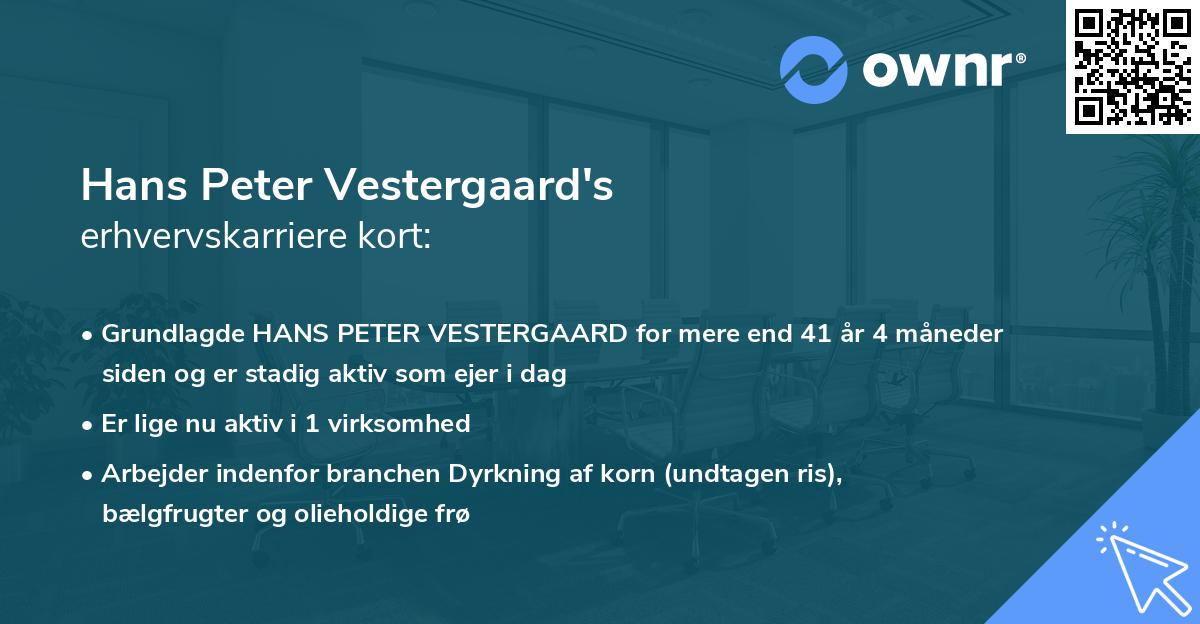 Hans Peter Vestergaard's erhvervskarriere kort