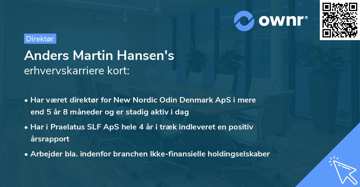 Anders Martin Hansen's erhvervskarriere kort