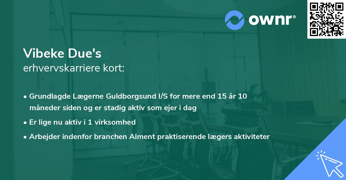 Vibeke Due's erhvervskarriere kort
