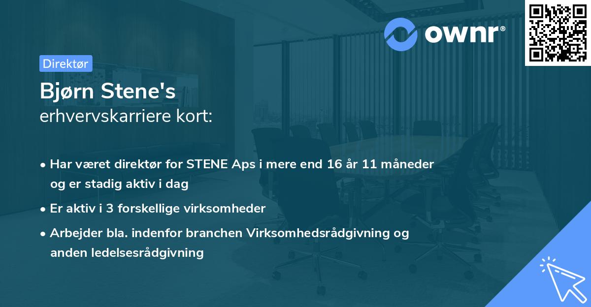 Bjørn Stene's erhvervskarriere kort