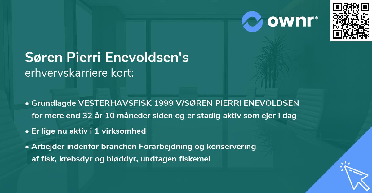 Søren Pierri Enevoldsen's erhvervskarriere kort