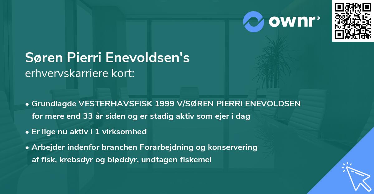 Søren Pierri Enevoldsen's erhvervskarriere kort