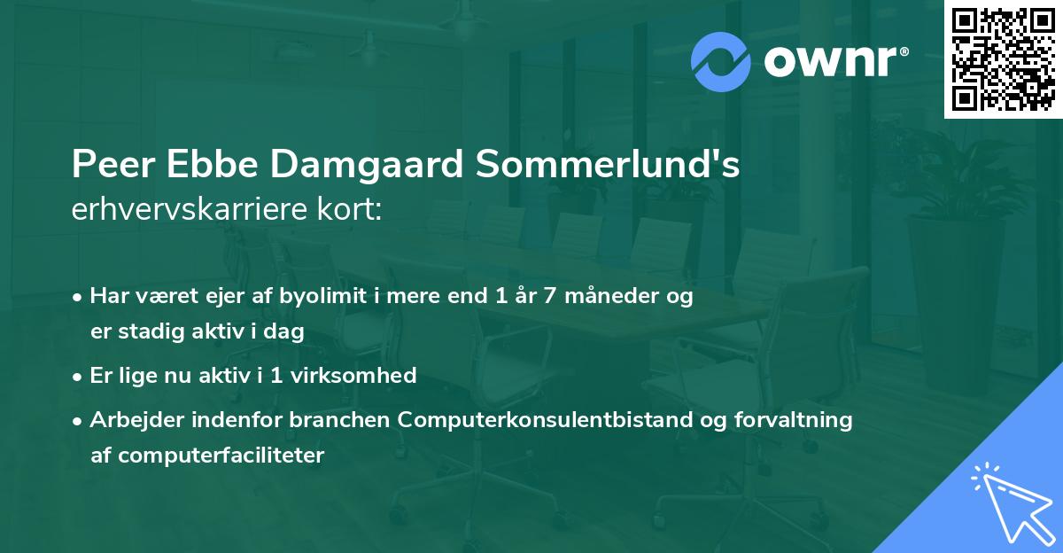 Peer Ebbe Damgaard Sommerlund's erhvervskarriere kort