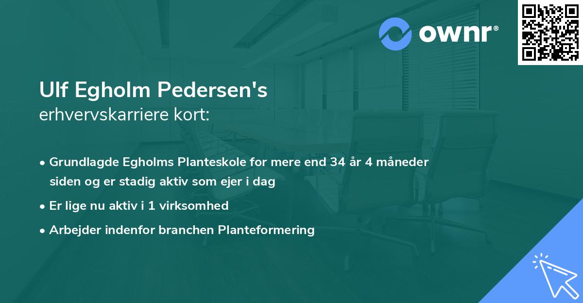 Ulf Egholm Pedersen's erhvervskarriere kort