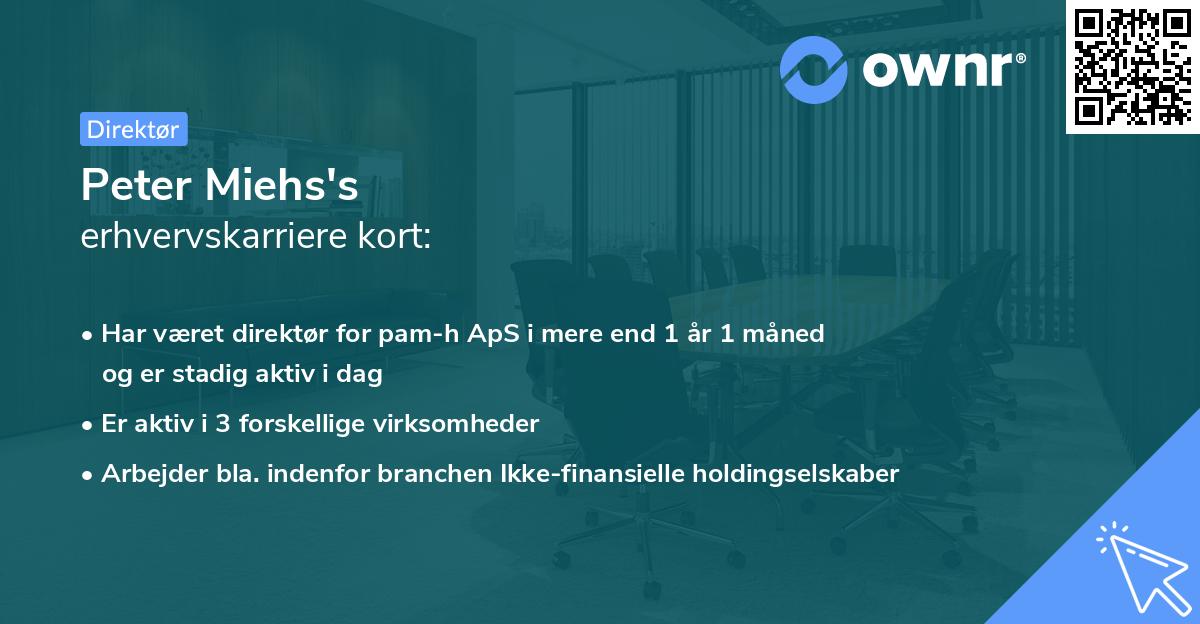 Peter Miehs's erhvervskarriere kort